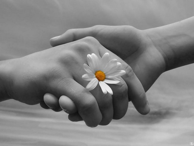 Làm người, cần có lòng biết ơn