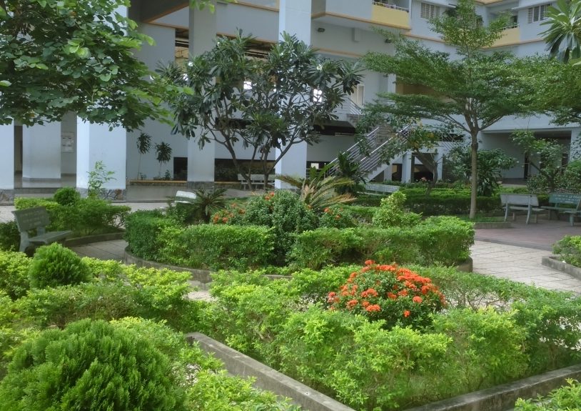 My House