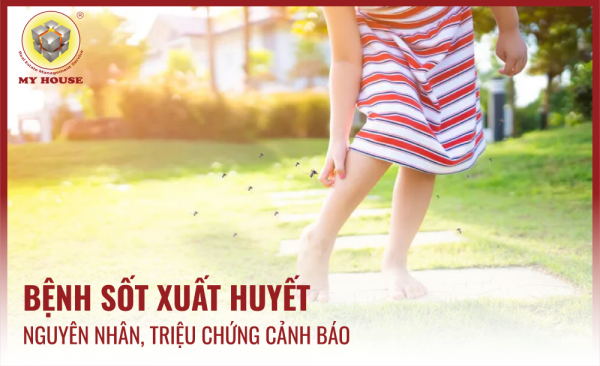 MY HOUSE – CẢNH BÁO MÙA DỊCH SỐT XUẤT HUYẾT