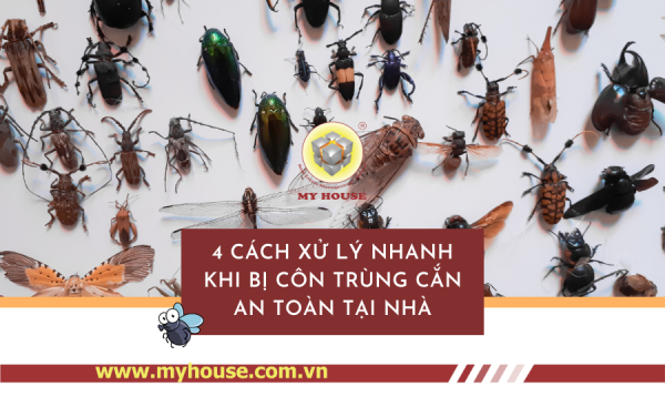 4 cách xử lý nhanh khi bị côn trùng cắn an toàn tại nhà