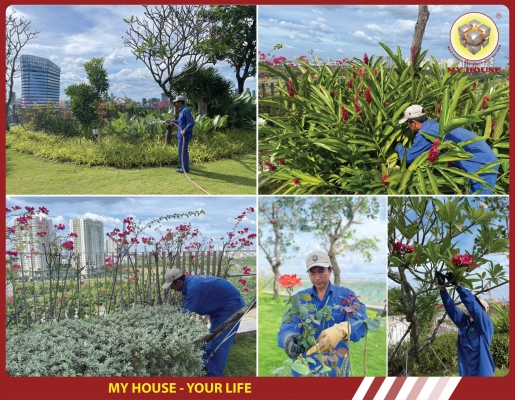 MY HOUSE – KIẾN TẠO KHÔNG GIAN SỐNG XANH GIỮA LÒNG ĐÔ THỊ