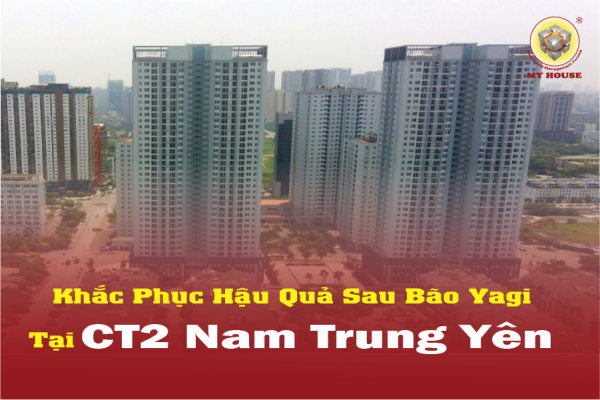 CT2 – A10 Nam Trung Yên: Hành Trình Khôi Phục Sau Cơn Bão Yagi